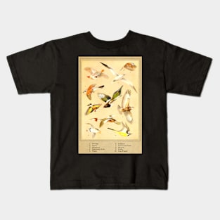 Vintage Flying Birds 1922 Kids T-Shirt